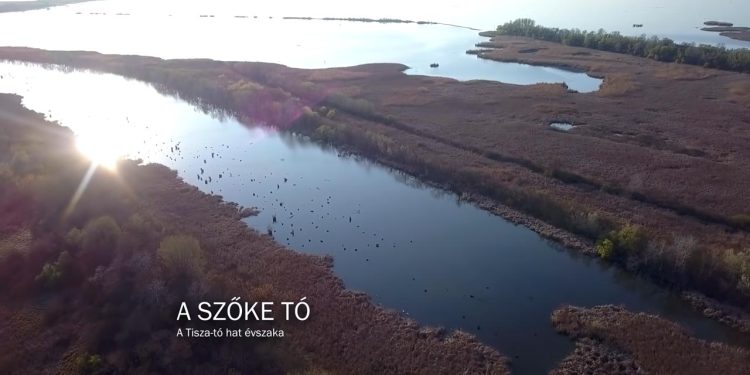 Filmajánló: A szőke tó: a Tisza-tó hat évszaka