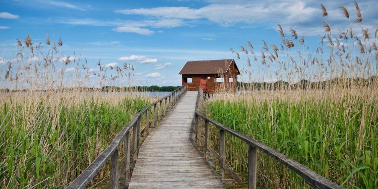 Tisza-tavi vízi sétány