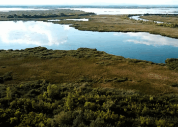 Óhalászi-sziget, az elárasztott falu a Tisza-tó közepén