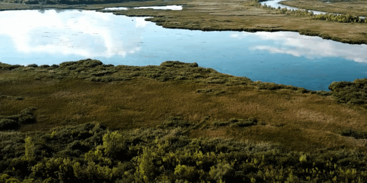 Óhalászi-sziget, az elárasztott falu a Tisza-tó közepén